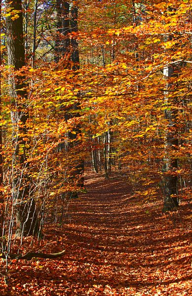 Nice way by Thomas Jäger