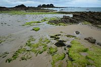 Saint-Lunaire - Brittany