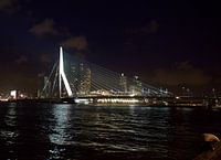 Erasmusbrug bij Nacht