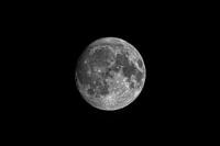 Zunehmender Gibbonmond