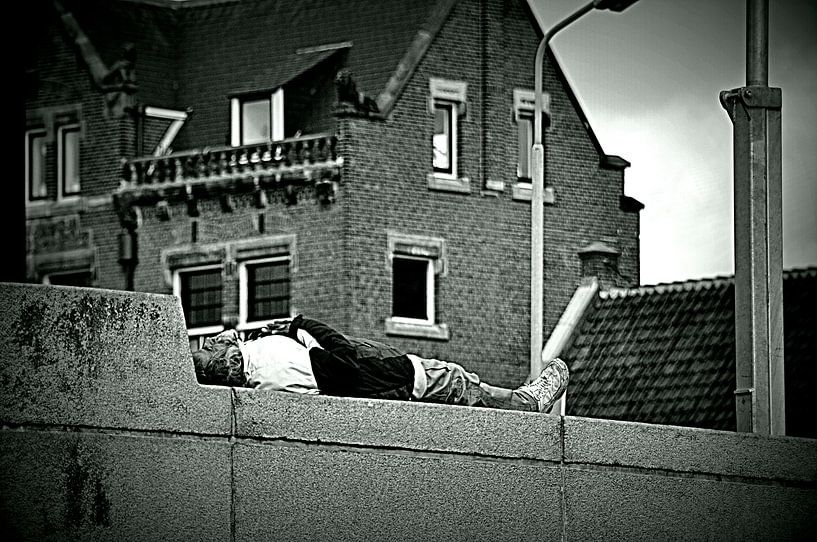 sleeping beauty von Rob Burgwal