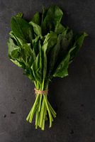 Bündel Spinat