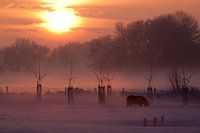 Winter zonsondergang