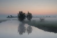 Sonnenaufgang bei Nebel in den Dark Plains Alblasserwaard