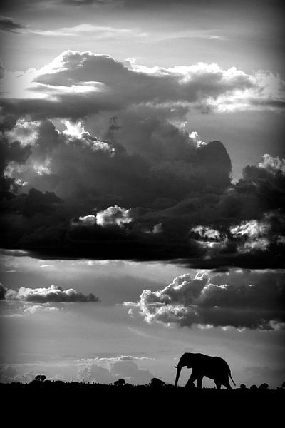 Il marche sous un ciel africain par WildPhotoArt 