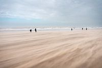 Dérives de sable sur la plage de Scheveningen pendant la tempête Eunice (19-02-2022)