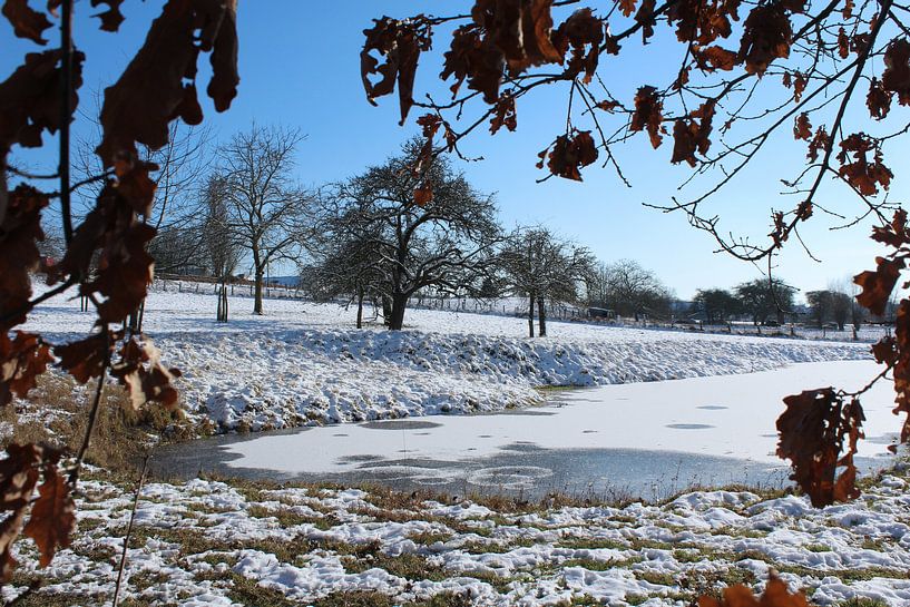 Verschneite Winterlandschaft bei Affligem, Belgien von Imladris Images