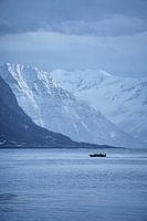Safariboot mit den Sunnmøre-Alpen im Hintergrund bei Godøy, Ålesund, Norwegen