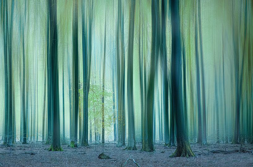 Droombos par Jan van der Linden