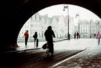 Blick auf die historischen Häuser von Gent.