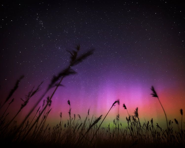 North von Daniel Laan