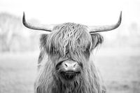 Mystischer Blick - Porträt eines schottischen Highlanders in Schwarz-Weiß