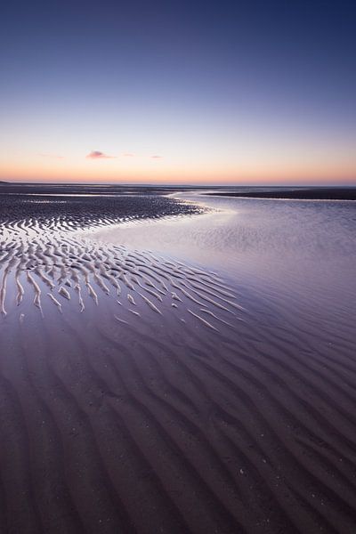 Maasvlakte 16 par Deshamer