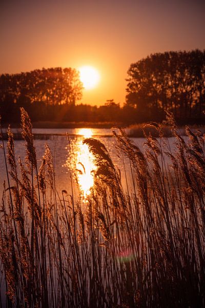 Sunset in the Biesbosch from Dordrecht by Petra Brouwer