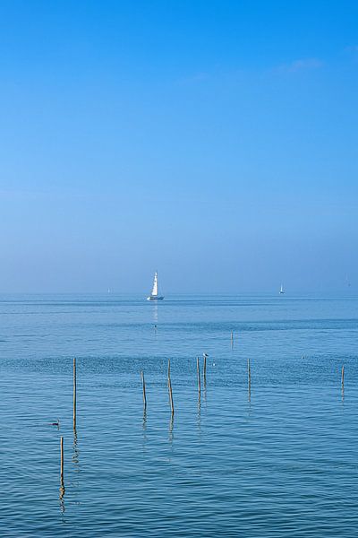 Sailing boats on the IJsselmeer in the late october afternoon light by Harrie Muis