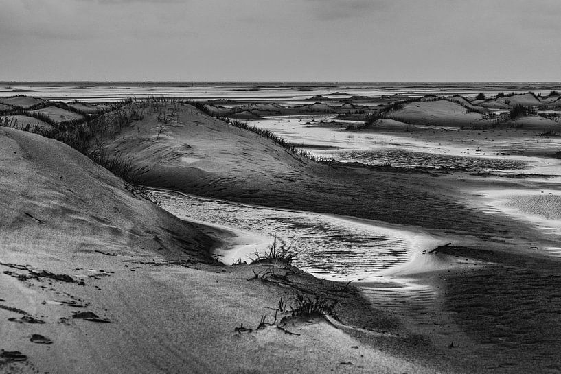 Young dunes in De Hors on Texel. by Ron Poot