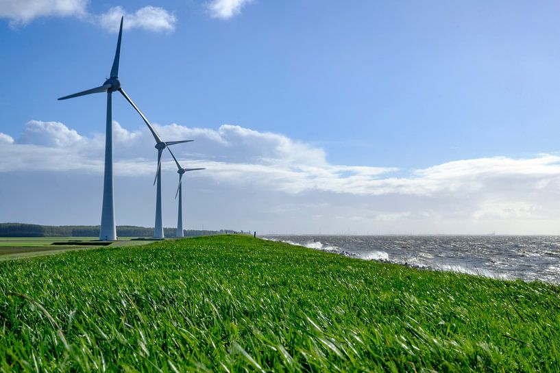 Windturbinen am Ufer des IJsselmeers von Sjoerd van der Wal Fotografie