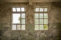 Des fenêtres en décomposition