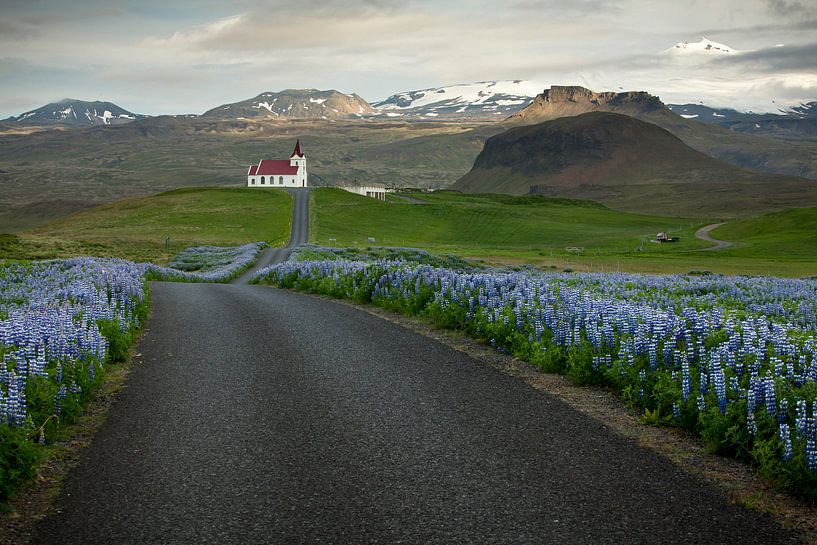 Church Road by Martijn Smeets