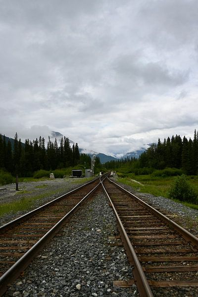 Abandoned train track by Manon Reinders