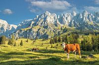 Muhlbach am Hochkönig