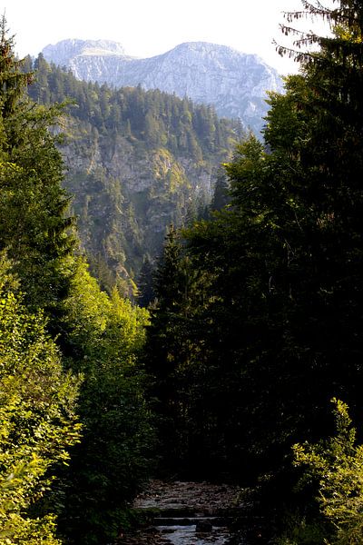 East Allgaeu by Thomas Jäger