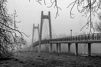 Tufted bridge Lage Vaart