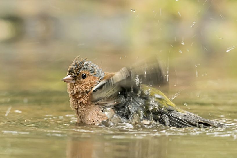 Kreuzen Sie  an. von Hennie Zeij