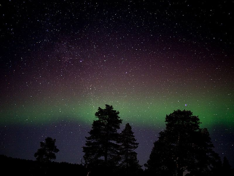 Northern Lights by Ferry D