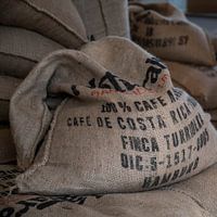coffee beans from costa rica