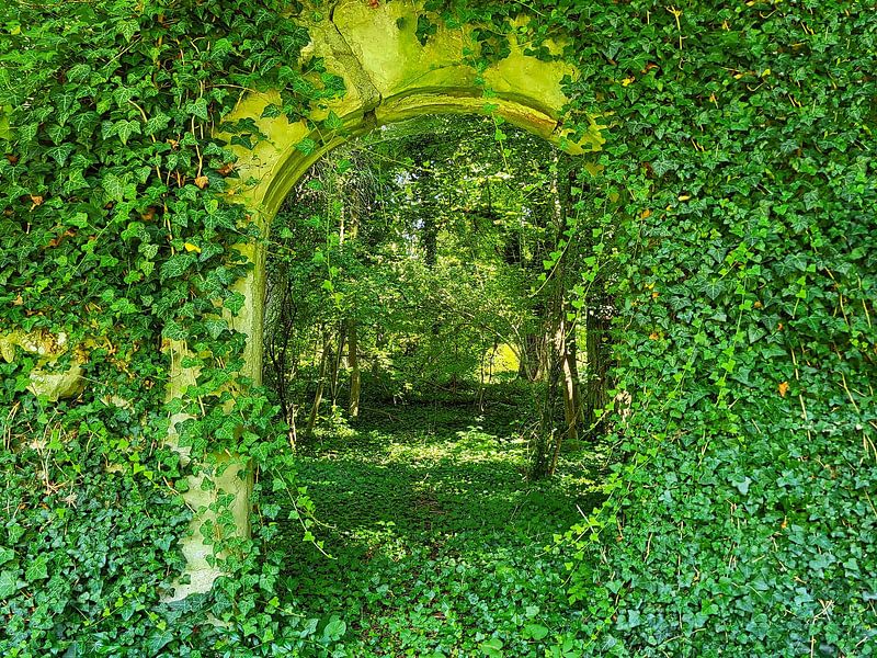 Mysteriöses Tor im Wald von fotoping