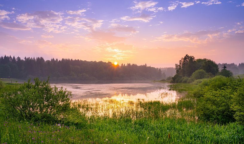 Der Pfauenteich von Steffen Henze