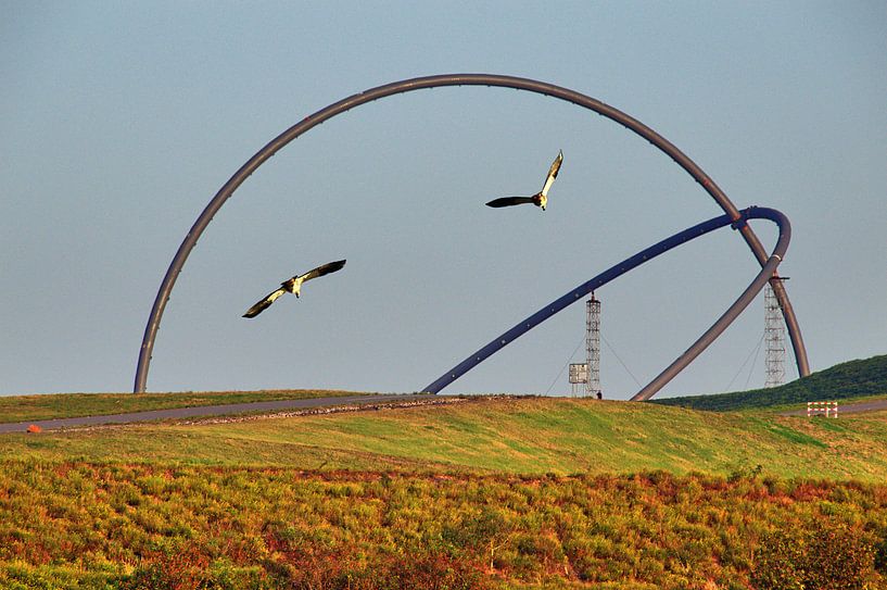Le vol des oies du Nil par Edgar Schermaul