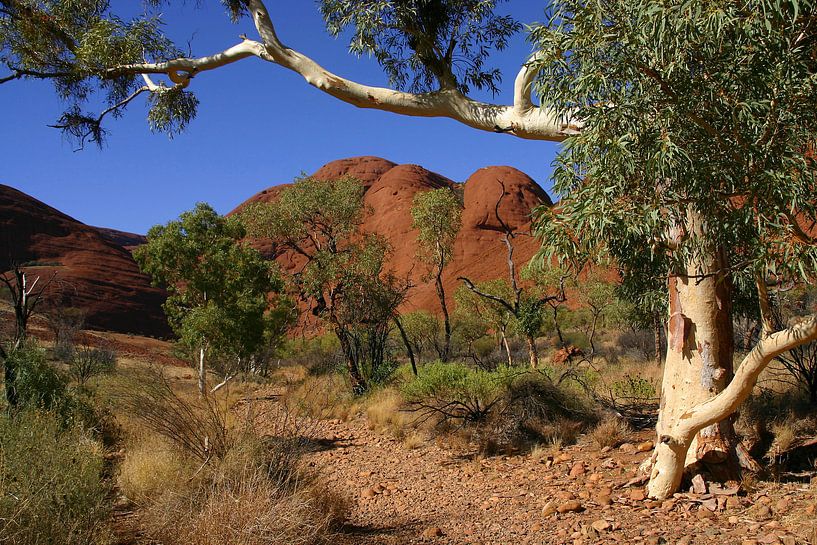 Kata Tjuta par Antwan Janssen