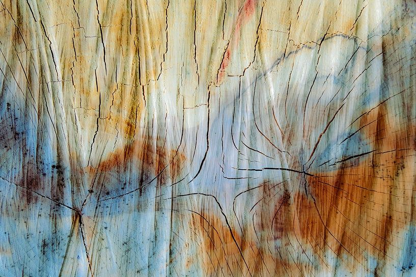 Surface en bois abstraite par Dieter Walther