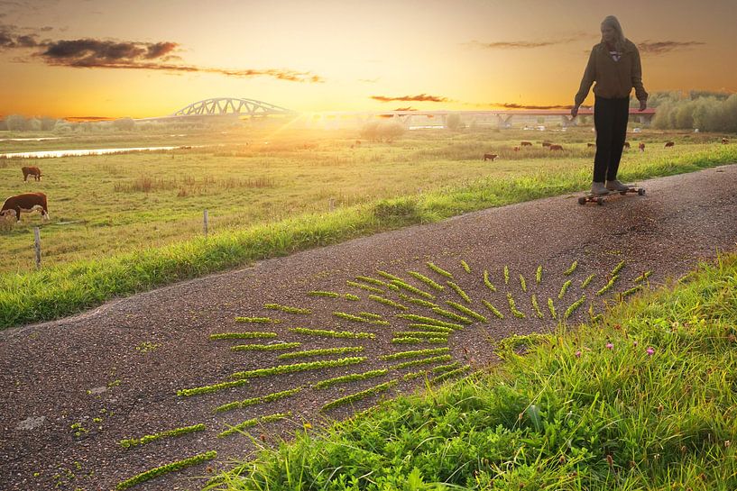 Skatergir; von Mies Heerma