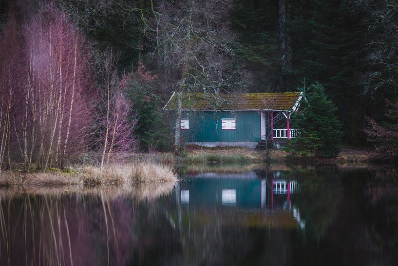 Spiegelung eines türkisfarbenen Holzhauses mit lila Busch am Wasser 1 | Vogesen, Frankreich von Merlijn Arina Photography