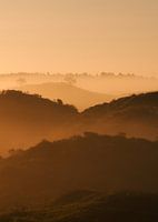 Dunes néerlandaises - or