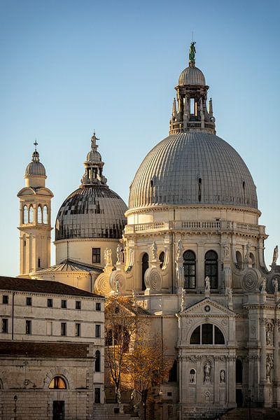 Basiliek van Santa Maria Assunta van Dieter Ludorf