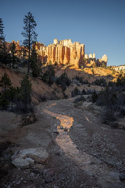 Bryce canyon. by Remco van Adrichem