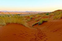 The sunset in the Sossusvlei
