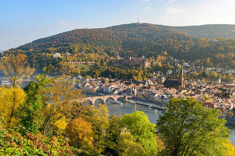 Heidelberg am Neckar an einem schönen Herbsttag von Sjoerd van der Wal Fotografie