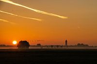 Zonsopkomst met dauw in Alblasserwaardse polder