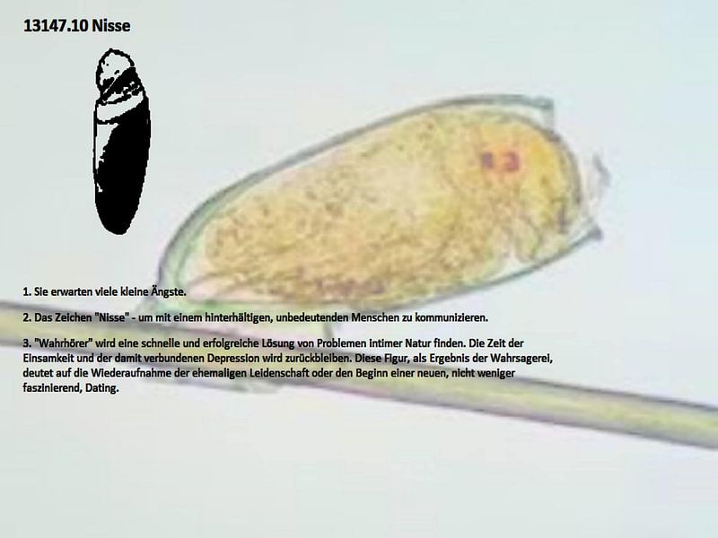 Nisse 13147.10 by Vladimir Zykunov
