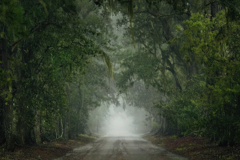 Farm road by Martin Podt