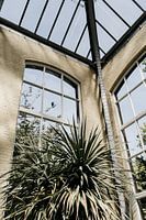 Hortus Botanicus Amsterdam, Botanischer Garten