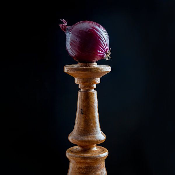 Oignon par Diane Cruysberghs