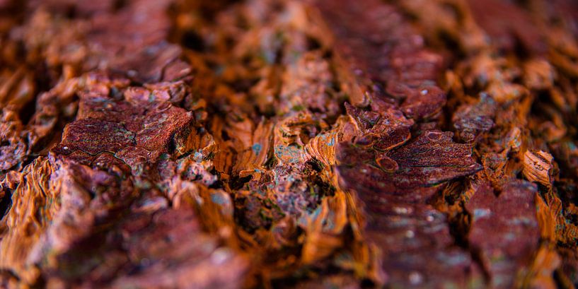 Couleurs chaudes de la nature par Judith Spanbroek-van den Broek