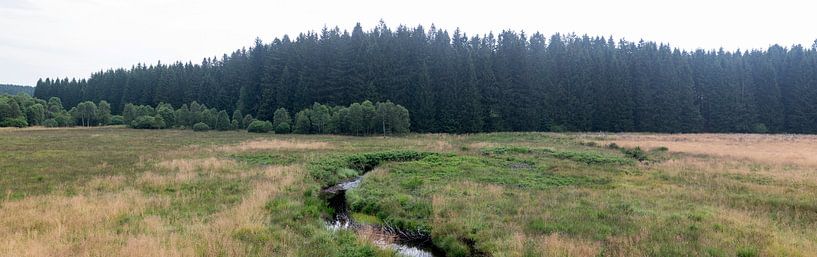 Rudder en Belgique par Richard Wareham