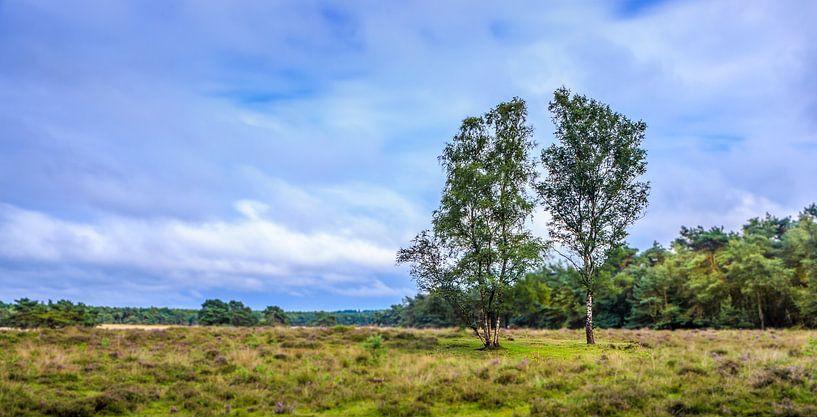 Leersumse plassen by Karel Warburg
